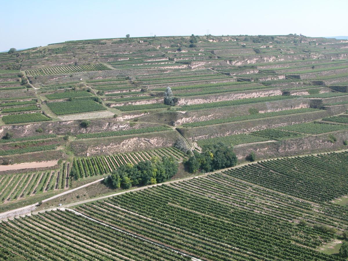 Weingut Und Gaestehaus Berger Gedersdorf Экстерьер фото